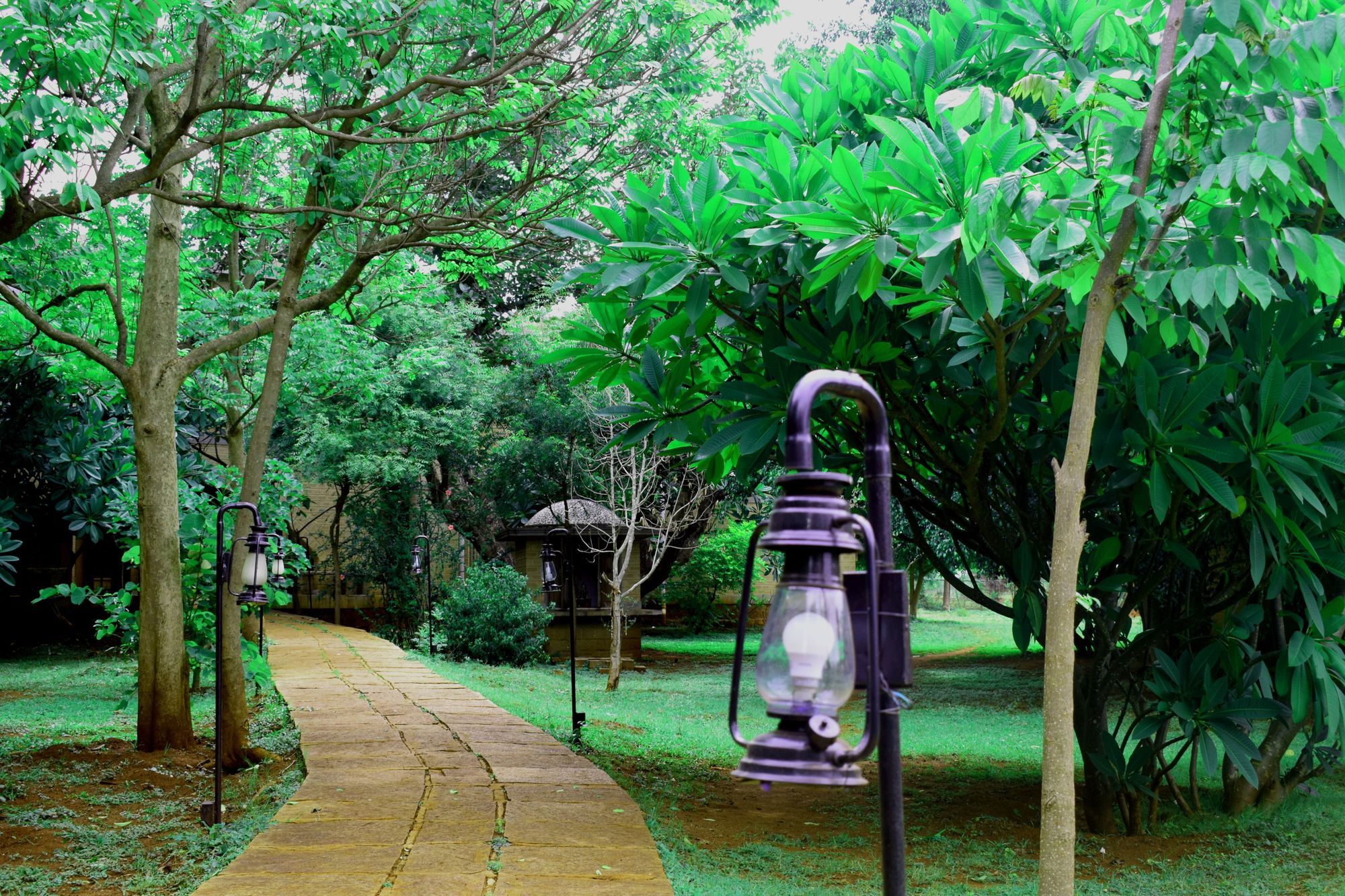 Our Native Village Gadigarpalya Exterior photo